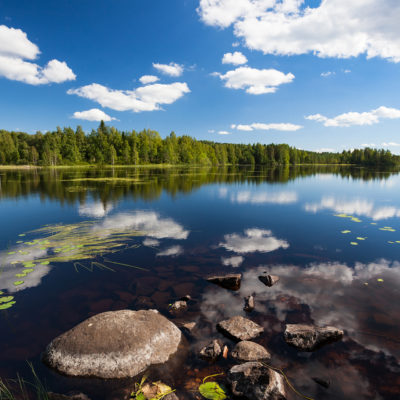 Sunny lake landscape from finland
